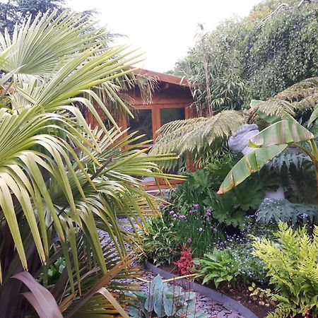 Cabin Set In A Beautiful Romantic Tropical Gardenサットン・コールドフィールド エクステリア 写真