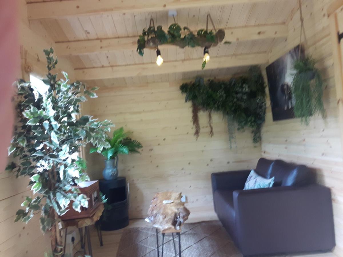 Cabin Set In A Beautiful Romantic Tropical Gardenサットン・コールドフィールド エクステリア 写真