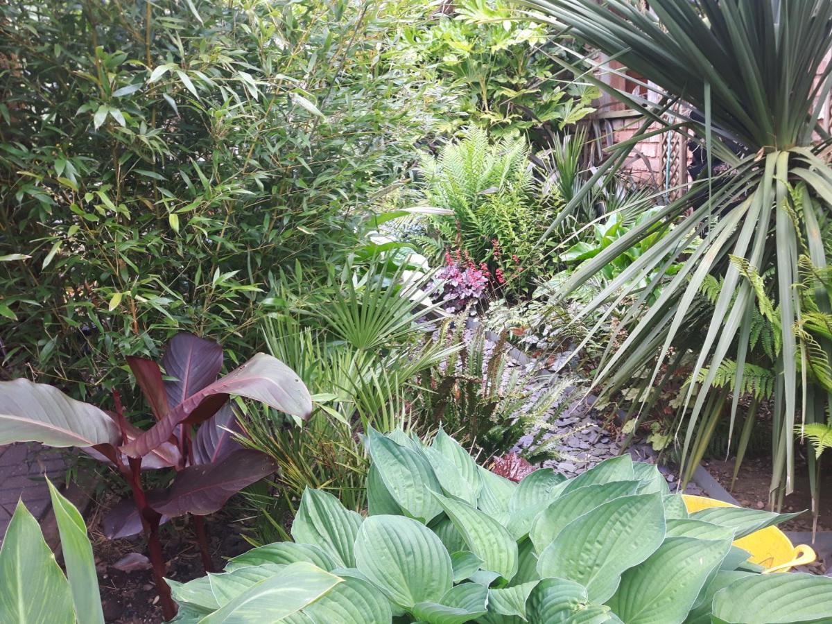 Cabin Set In A Beautiful Romantic Tropical Gardenサットン・コールドフィールド エクステリア 写真