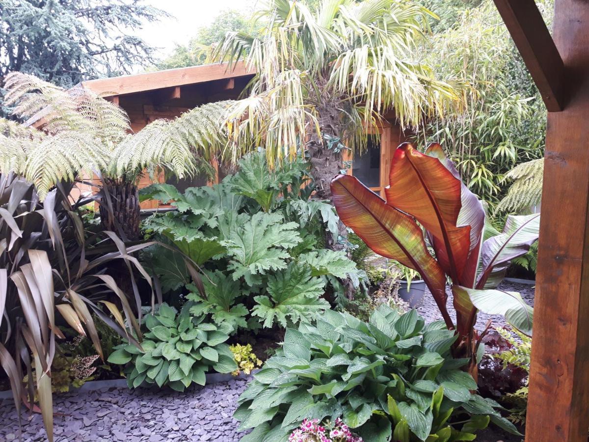 Cabin Set In A Beautiful Romantic Tropical Gardenサットン・コールドフィールド エクステリア 写真
